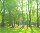 あなたを守り共に進むお守りメッセージお送りします 迷うあなたに　易・四柱推命・体の声があなたを守り道を示します イメージ1
