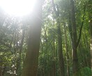 実践的「引き寄せ」を丁寧にお伝えします こちらは同タイトルのユーザー様向け電話サービスになります。 イメージ2