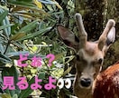最高の未来に❗️軽めに運命カードひいてみます 軽くで良いから後押し欲しい時にどうですか？^ ^ イメージ1