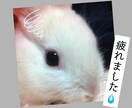 心が落ち着かない日…あなたに寄り添います 元気なふり、ここではしなくて大丈夫です☾·̩͙⋆ イメージ2