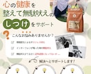 低単価だけど丁寧で伝わる！見やすい！チラシ作ります 費用を抑えたいけど高品質なチラシが必要な方へ イメージ2