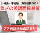 急な英語面接の相談、模擬面接での練習相手になります 初めての英語面接準備対応！何を聞かれる？（45分間） イメージ1
