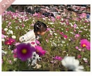 お子さまの写真に手書き文字を入れます 思い出の写真にぬくもりをプラスしませんか？❀ イメージ5