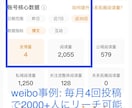 中華圏向けのWeiboなどSNSのPRご提案します 商品やサービスのPRため中華圏向けのPRをお手伝いします イメージ4