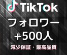 TikTokのフォロワー500人以上増やします 格安で最高品質をお届け★伸びる拡散や宣伝で増加します★ イメージ9