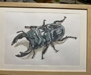 昆虫/奇蟲/魚類/動植物のイラスト制作できます ちょっと変わった生き物が好きで、供給が少なくて悩んでいる方へ イメージ9
