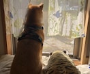 何気ない日々のお話お聞きします ひなたぼっこで何気ないお話しをしましょう⭐︎ イメージ1