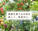 デザインカンプを忠実にコーディングします 現役エンジニアがピクセル単位で忠実に実装します イメージ4