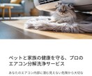Canva使用　LPの制作をトータル作成致します 初めてのLP制作の方も大歓迎です イメージ1
