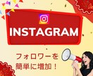 必ずお金になる日本人フォロワー１００人増やします Instagram日本人フォロワー+100人増加 イメージ1