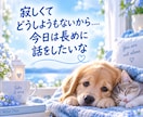 愚痴も雑談も、優しくお聞きします あなたの心のモヤモヤを、優しく受け止めます♪ イメージ7