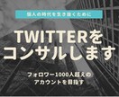 ビジネス向け。Twitter運用をサポートします 個人で稼げるTwitterアカウントを僕と作りましょう！ イメージ1
