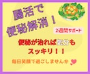 腸活で便秘解消！便秘が治れば気分もスッキリします ２週間サポート！下剤を使わない自然な排便を目指しましょう！ イメージ1