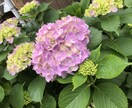 お悩み、相談受け付けます 心の悩み、子育ての悩み何でも聞きます‼︎ イメージ1