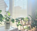 引き寄せ風水で、目標達成に向け一緒に環境を整えます アウトプットしながら、目標設定〜共に行動コーチングします イメージ7