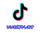 TikTok いいね +1000増やします 安心安全にティックトック【いいね】を増加させます イメージ1
