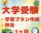 大学受験　学習プランを作成・伴走します 先着4名限定のモニター価格6,000円です！！ イメージ1