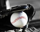 野球関連情報をTwitterで拡散します 野球特化型Twitterアカウントで本当の野球好きへ届けます イメージ1