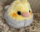 小鳥さん制作します ご依頼後制作開始しますよろしくお願い致します イメージ5
