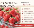 売れるPOP画像を作成します 思わず手に取る一枚に仕上げます イメージ2