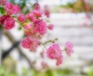 恋愛相談 辛い恋のお悩み解決します あなたの心に寄り添い希望ある未来へ導きます。 イメージ6