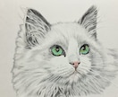 ペット似顔絵を色鉛筆で2Lサイズに描きます 写真を元に色鉛筆でペットの似顔絵をリアルに描きます。 イメージ7