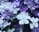 なんでもお話聞きます 話すことで悩みを手放すお手伝いします! イメージ1