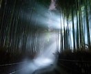 ツインレイ診断｜魂の結びつきを霊視で読み解きます 本当にツインレイ？魂の縁を今すぐ視ます イメージ8