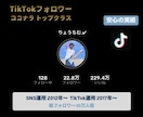22万人フォロワーがTikTokのコンサルをします TikTok「動画」「配信」で伸びるアルゴリズムを教えます イメージ7