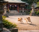 誰にも言えない恋のお悩みの深層を霊視鑑定いたします 彼の本音や覚悟、この恋の未来を鑑定し後悔のない未来へ導きます イメージ8