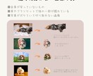 オーダーメイド！世界に一つのペットシール作ります 【送料無料】ハンドメイド♡ラミネート加工で表面ツヤツヤ♩ イメージ9