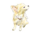虹の橋を渡った【愛犬】を【イラスト】で甦らせます わんちゃんも【より可愛く♡より格好良く⭐︎】描きます イメージ2
