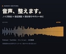 音声編集承ります 実務経験があり、プロとして音声編集に携わってきました イメージ1