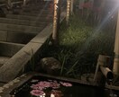 あなたの話を聞きます ありのままの気持ちを喋ってみませんか？ イメージ2