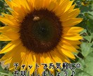 ちょっとした悩みや相談に乗ります 人生は一度っきり⭐︎前向きに楽しみましょう↑ イメージ1