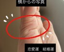 鑑定書を作成します ！自己理解をさらに深めてみませんか？ イメージ7