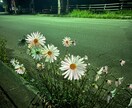 どんなお話でも聞きます 老若男女問わずどんな話でもしてください！ イメージ2