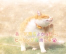 やさしい光で包み込む《ペットヒーリング》行います あなたの大切な家族（ペット）に、心からの癒しを届けます。 イメージ7