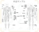 医療イラストで先生方や患者様のお手伝いをいたします 臨床歴10年の柔道整復師が、イラストで医療の現場をサポート♩ イメージ5