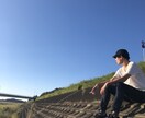 20代後半の男性がなんでもお話ききます 悩み、暇つぶしなど、どんな内容でも楽しい時間を作ります イメージ1
