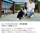 犬のプロがペットビジネスの成功をサポートします 監修、イメージ写真の撮影、PR、新規サービスの相談など イメージ3