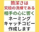 ネーミング、キャッチコピー考案いたします シンプルに。簡潔に。相手に、響く言葉を。 イメージ1