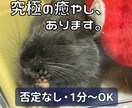 デグーの癒やしとプロの聴くスキルで心に寄り添います 否定なし。デグーの瑠璃ちゃんが見守る夜のまったり隠れ家。 イメージ1