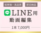 LINE用3分動画を魅力的に編集します 3分くらいのあいさつ動画、プロフィール動画など編集します イメージ1