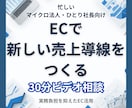 小規模法人向けEC販売チャネル導入を相談できます 在庫リスクを抑えたECの始め方を整理します イメージ1