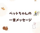 ペットちゃんから一言メッセージお伝えします ペットの気持ちを“感じて言葉に”してお渡しします イメージ1