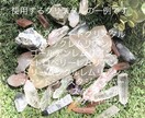 レムリアのクリスタルと音叉でエネルギーワークします レムリアの記憶、叡智、エネルギーとリコネクト（再接続） イメージ3