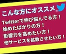 X・旧Twitterのツイートを拡散します いいね、RT、インプ3セット増加！！フォロワ一増加にどうぞ イメージ2