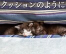 少しだけお話ししませんか？５分でもお聞きします 昔からの知り合いのようにゆるい感じで何でも話してください イメージ6