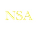 NSA 30日サポートプランになります ノウハウ+30日間のサポートがついたプランです。 イメージ1